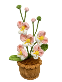 Gehäkelte Blumentöpfe