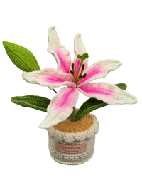 Gehäkelte Blumentöpfe