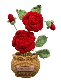 Gehäkelte Blumentöpfe