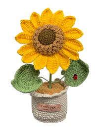 Gehäkelte Blumentöpfe