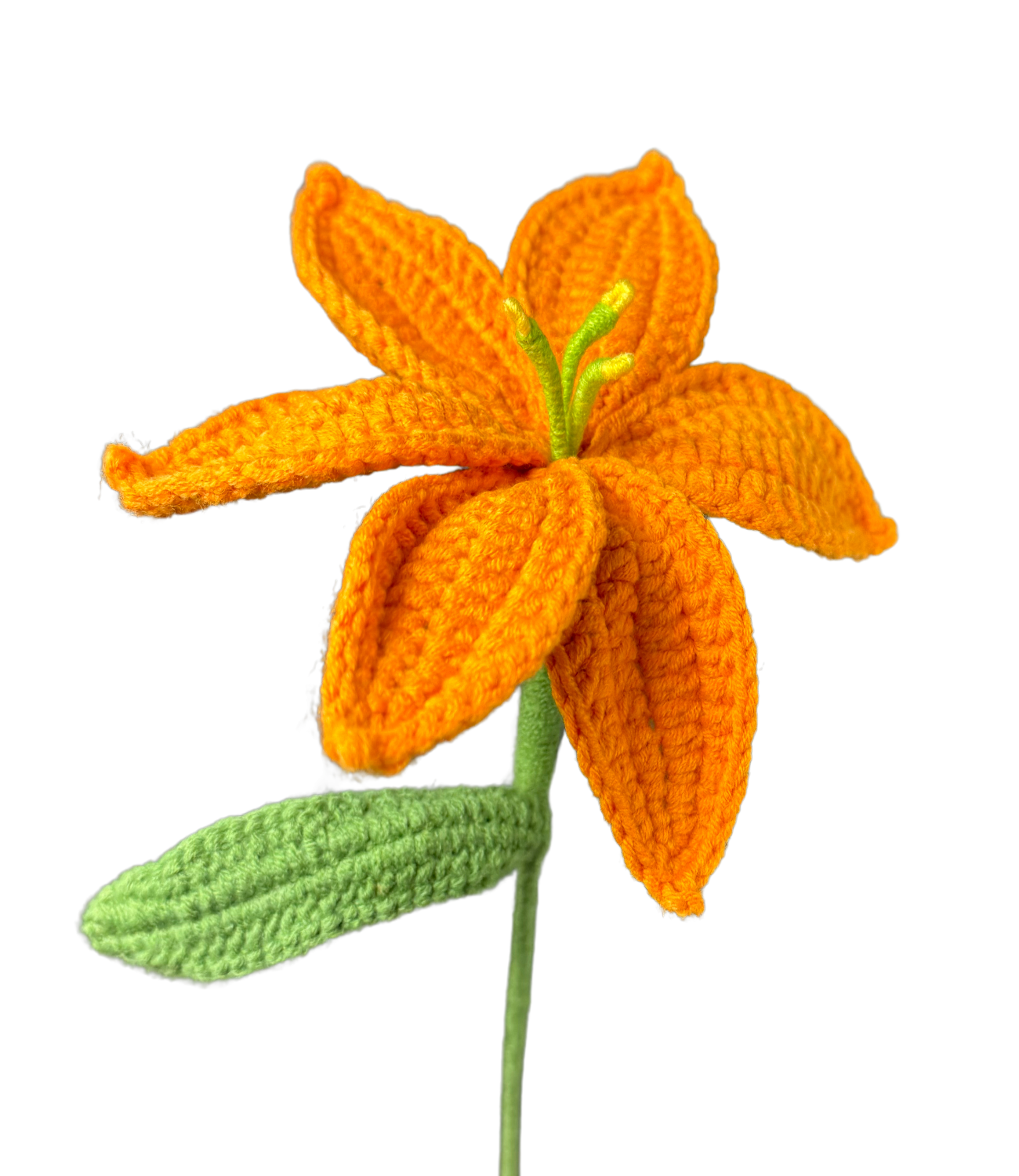 Lilien