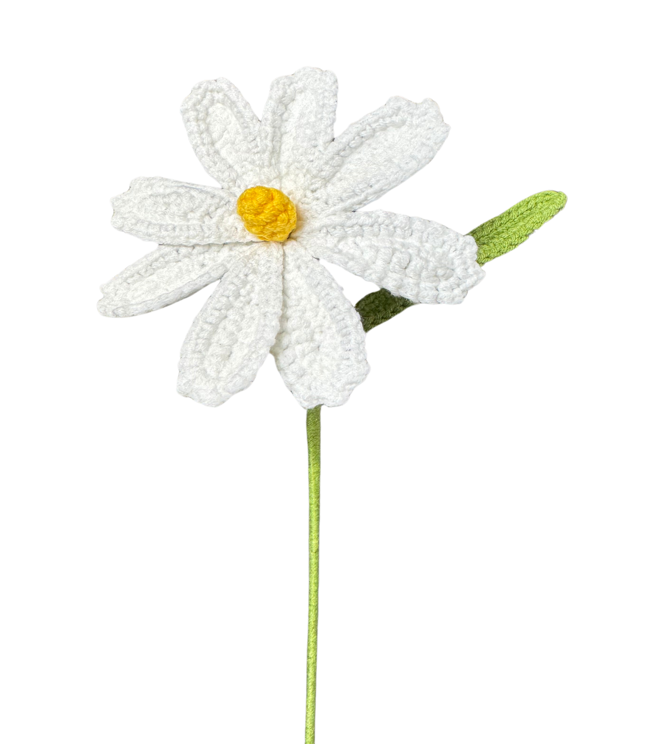 Gänseblümchen