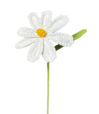Gänseblümchen