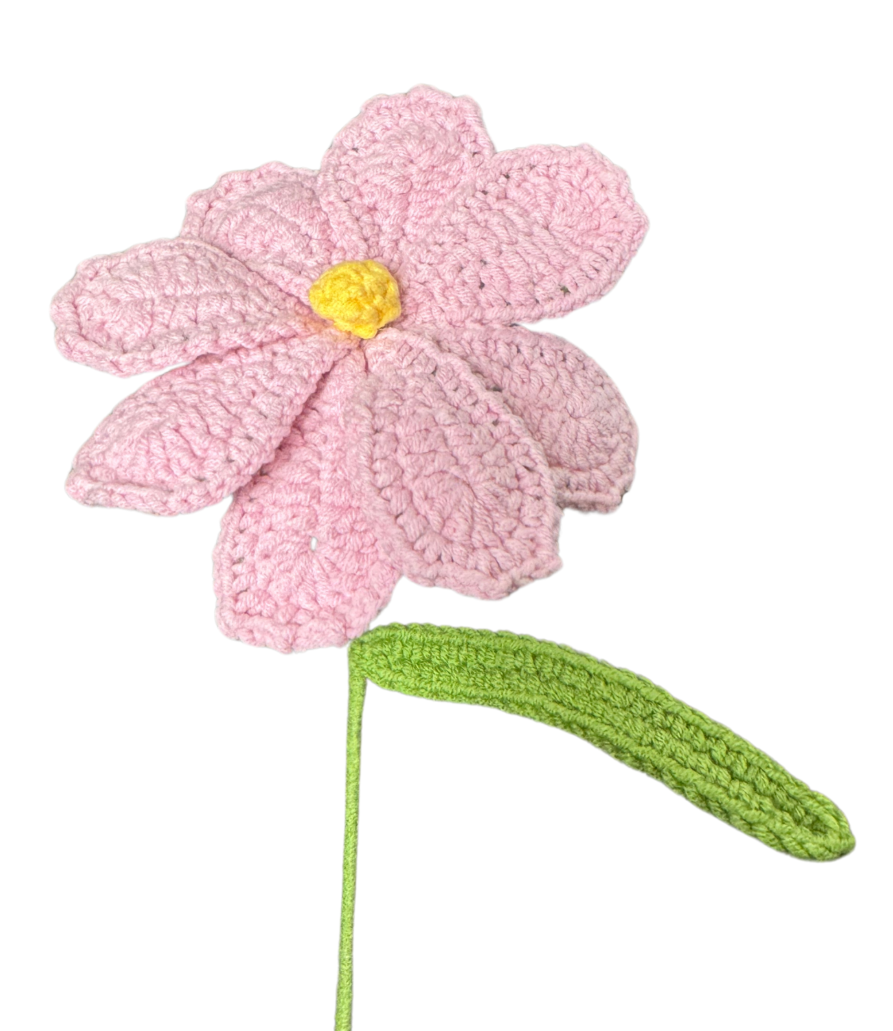 Gänseblümchen