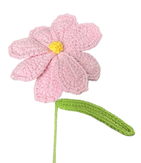 Gänseblümchen