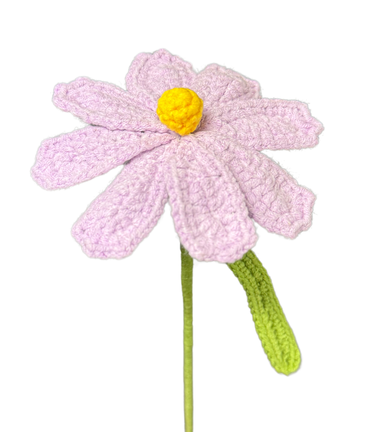 Gänseblümchen