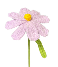 Gänseblümchen