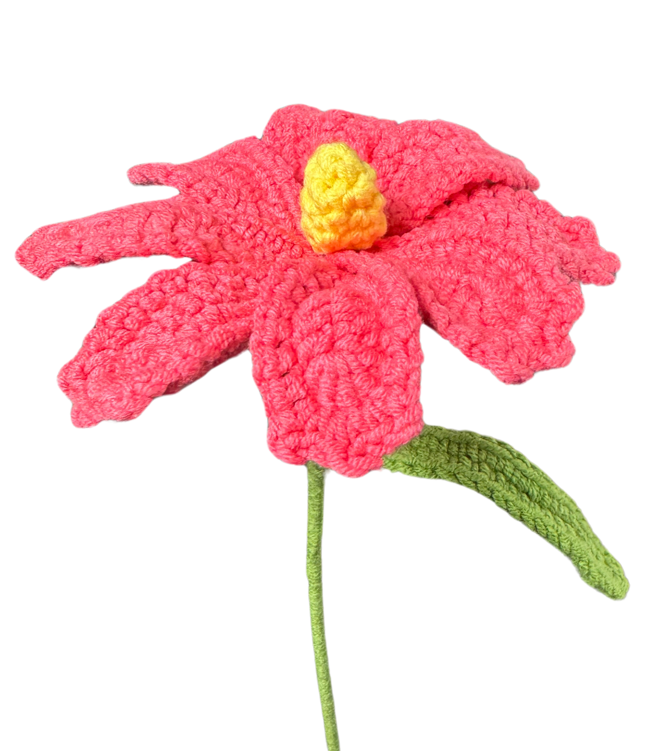 Gänseblümchen
