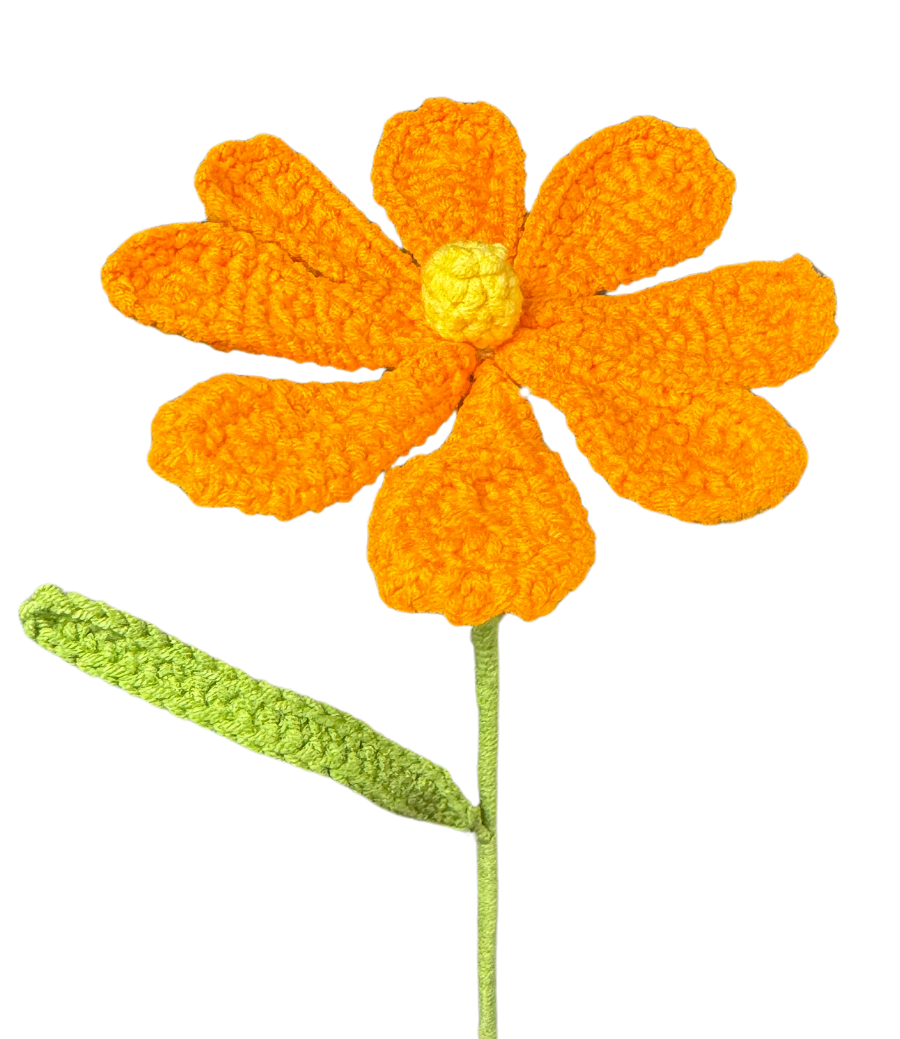 Gänseblümchen