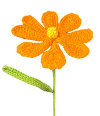 Gänseblümchen