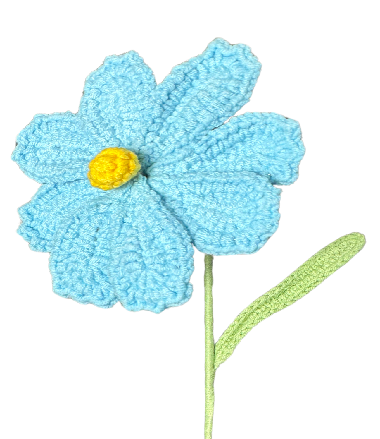 Gänseblümchen