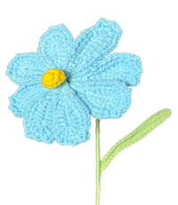 Gänseblümchen