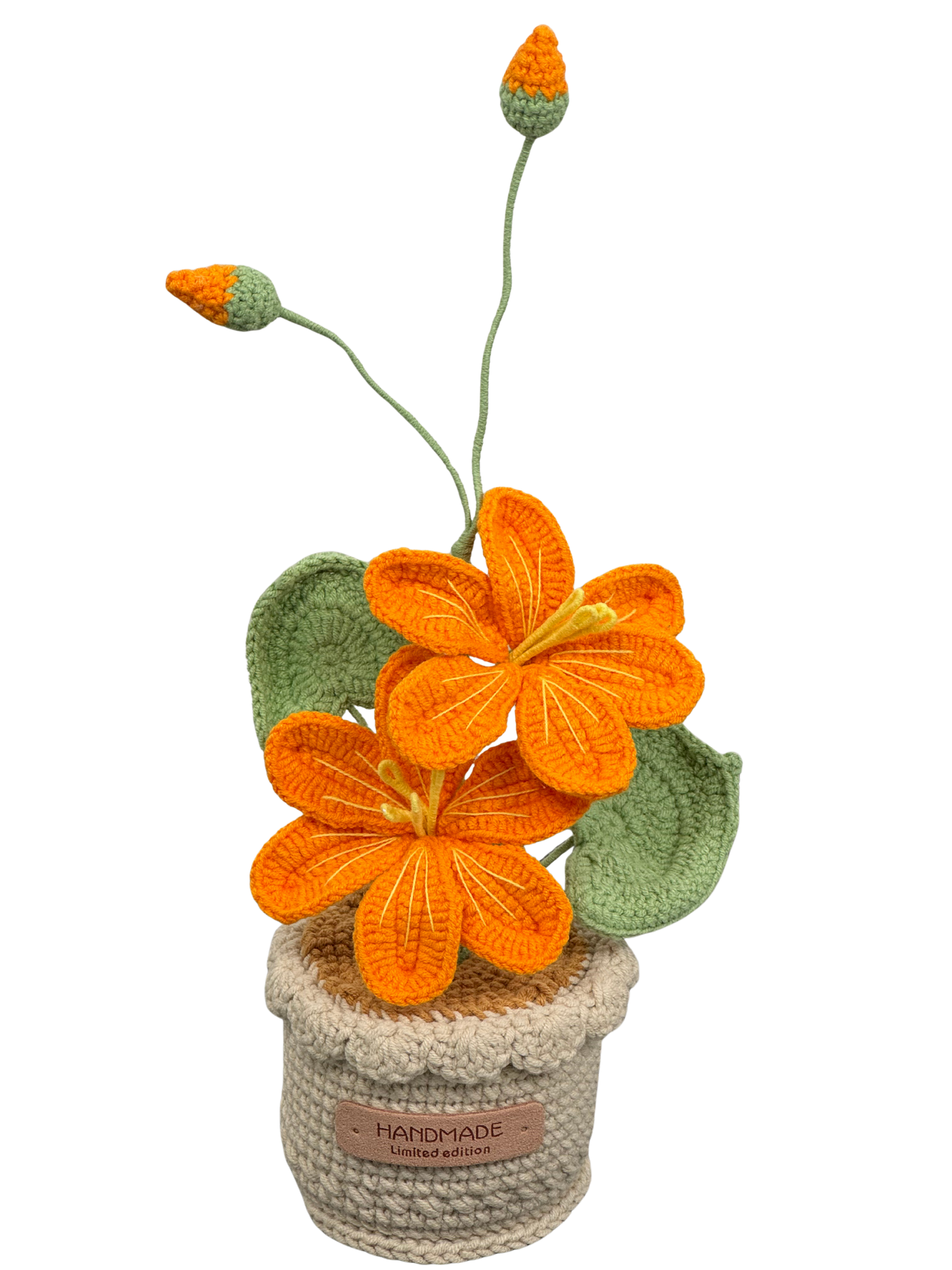 Gehäkelte Blumentöpfe