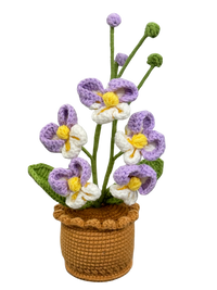 Gehäkelte Blumentöpfe